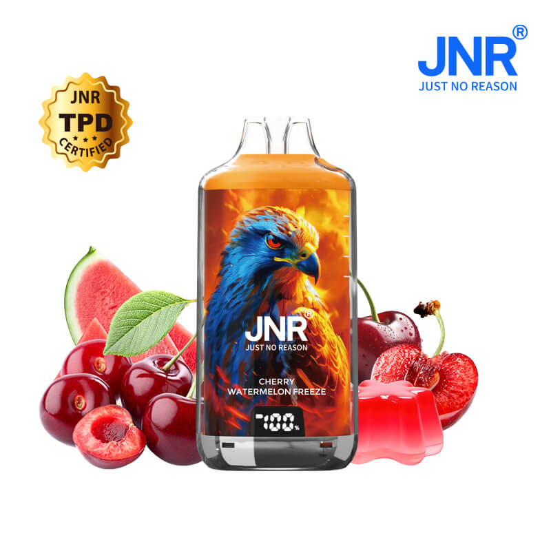 JNR FALCON X PLUS 28000 puffs bar 20mg nicotine (Box of 10)