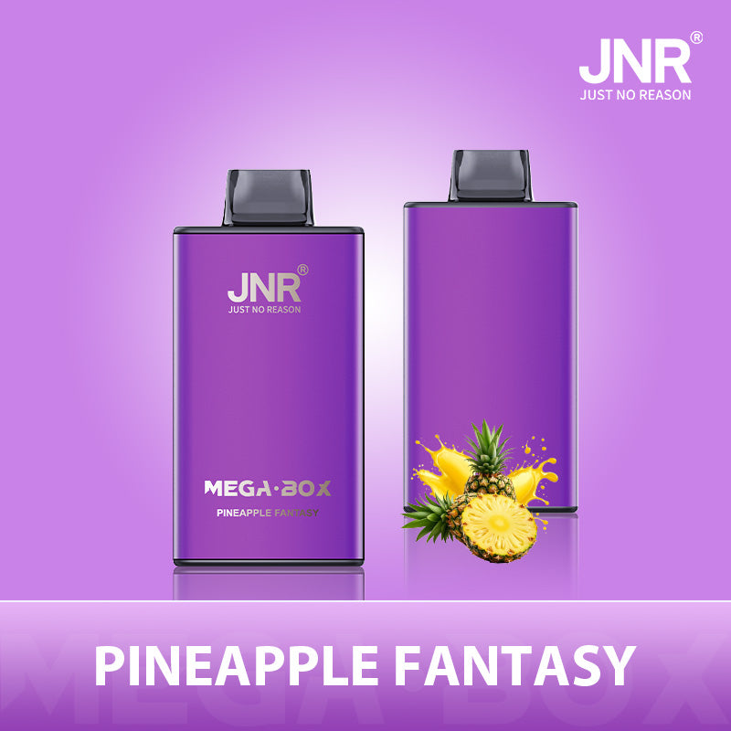 JNR Mega Box 25000 Puffs Disposable Vape (Box of 10)