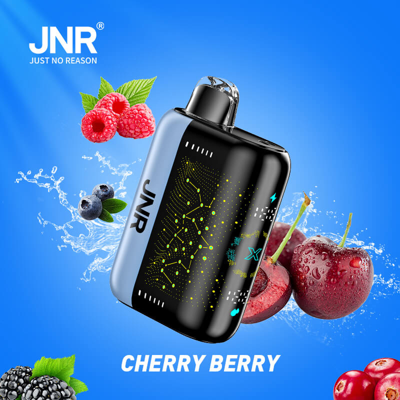 JNR Plus X 26000 Puffs Disposable Vape (Box of 10)