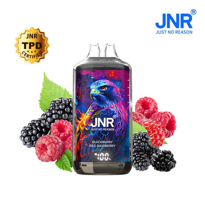 Puff JNR Falcon X Plus 28000 Puffs 20mg - Boîte de 10
