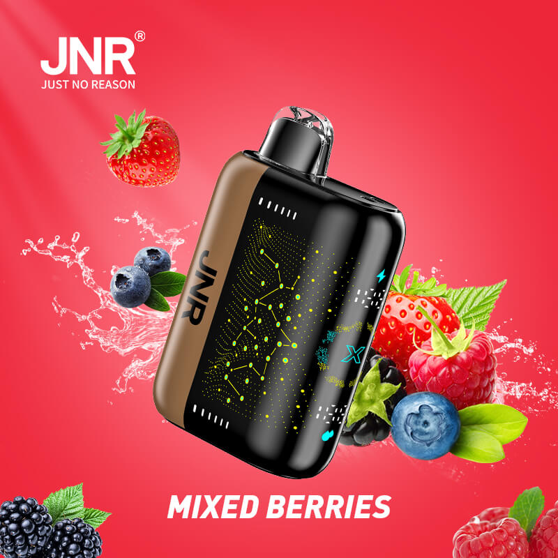 JNR Plus X 26000 Puffs Disposable Vape (Box of 10)