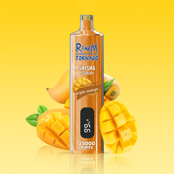 REndM Shisha 25000 Puffs  Pack of 10