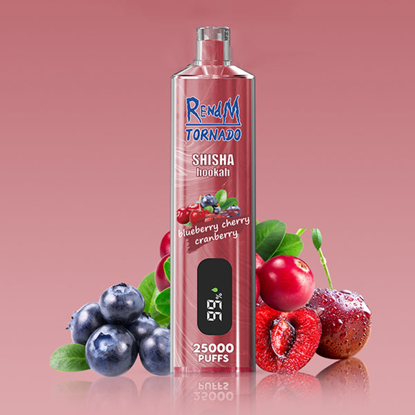 REndM Shisha 25000 Puffs  Pack of 10
