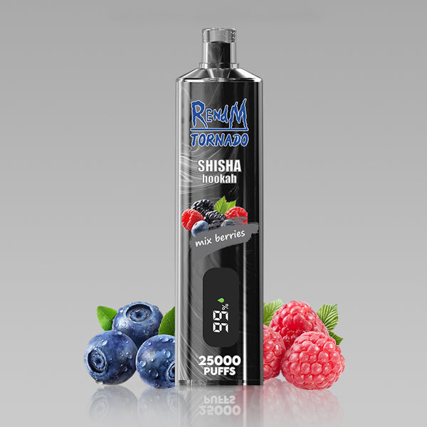 REndM Shisha 25000 Puffs  Pack of 10
